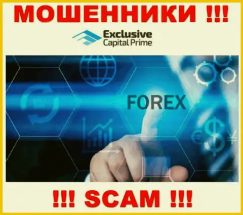 Форекс - это сфера деятельности мошеннической компании Exclusive Capital
