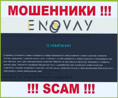 Поскольку деятельность интернет-мошенников EnoVay - это обман, лучше совместной работы с ними избегать