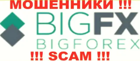 BigFX Net - это ВОРЮГИ !!! SCAM !!!