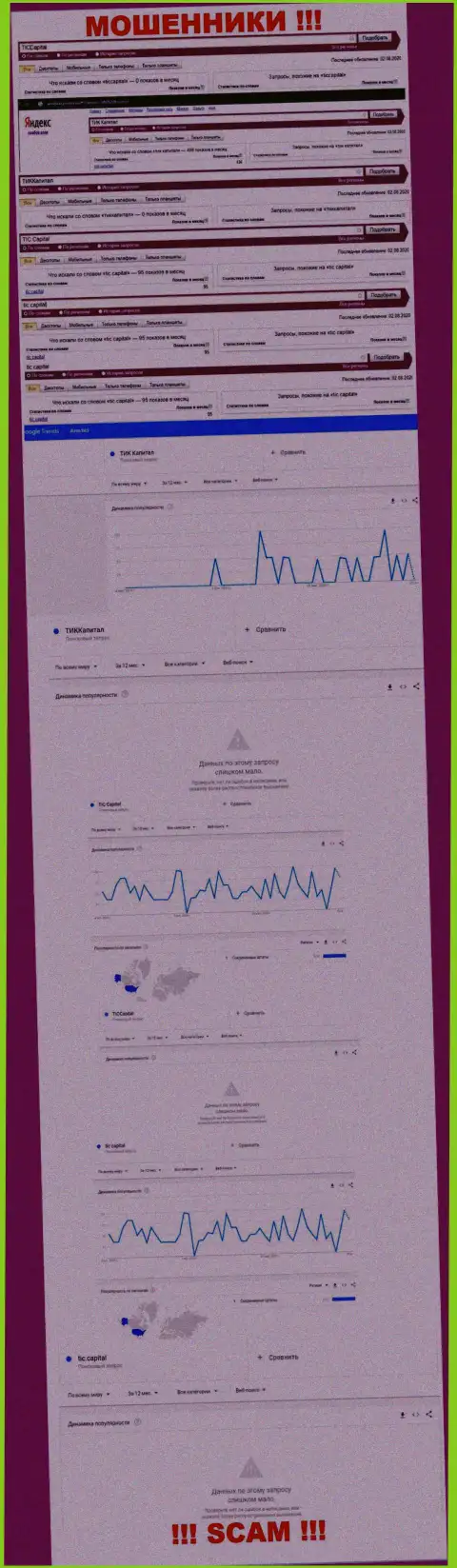 Статистические данные о запросах в поисковиках глобальной сети данных о конторе ТИК Капитал
