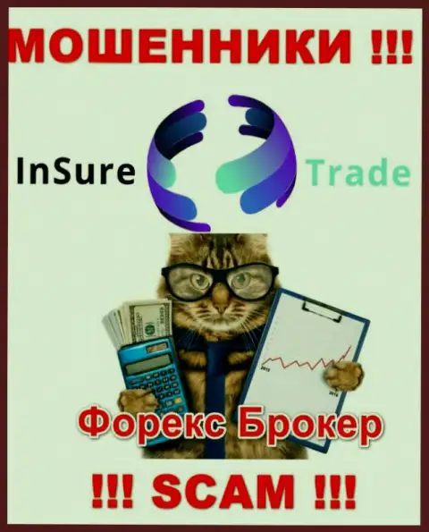 Forex - это то, чем занимаются лохотронщики Insure Trade