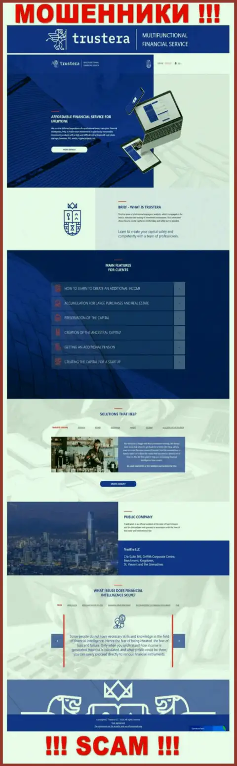 Официальный веб-портал мошенников Трустера, заполненный инфой для лохов