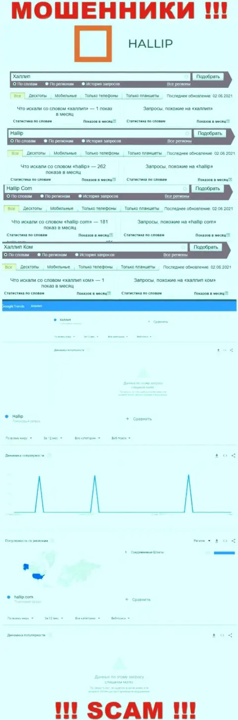 Инфа о online запросах по бренду аферистов Hallip