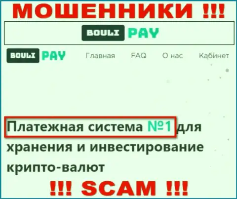 Основная деятельность Bouli Pay - это Платежная система, будьте осторожны, работают противоправно