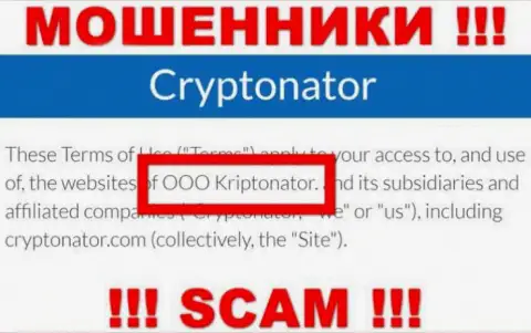 Контора Cryptonator Com находится под управлением организации OOO Криптонатор