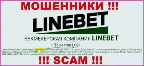 Юридическим лицом, управляющим ворюгами Лин Бет, является Talkeetna Ltd