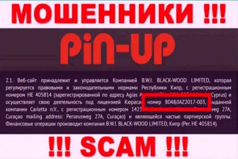 Pin Up Casino - это бессовестные ШУЛЕРА, с лицензией на осуществление деятельности (сведения с ресурса), позволяющей надувать людей