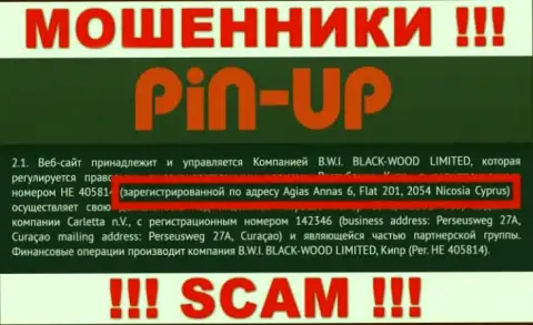 Из Pin-Up Casino забрать обратно вклады не получится - эти мошенники пустили корни в офшорной зоне: Agias Annas 6, Flat 201, 2054, Nicosia Cyprus