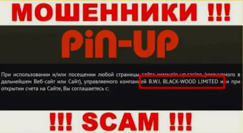 Мошенники PinUpCasino принадлежат юридическому лицу - Б.В.И. Блек-Вуд Лтд