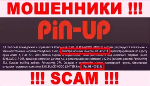 Номер регистрации очередных воров всемирной сети интернет организации Pin-Up Casino - HE 405814