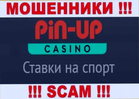 Основная работа Pin-Up Casino - это Casino, осторожно, промышляют противоправно