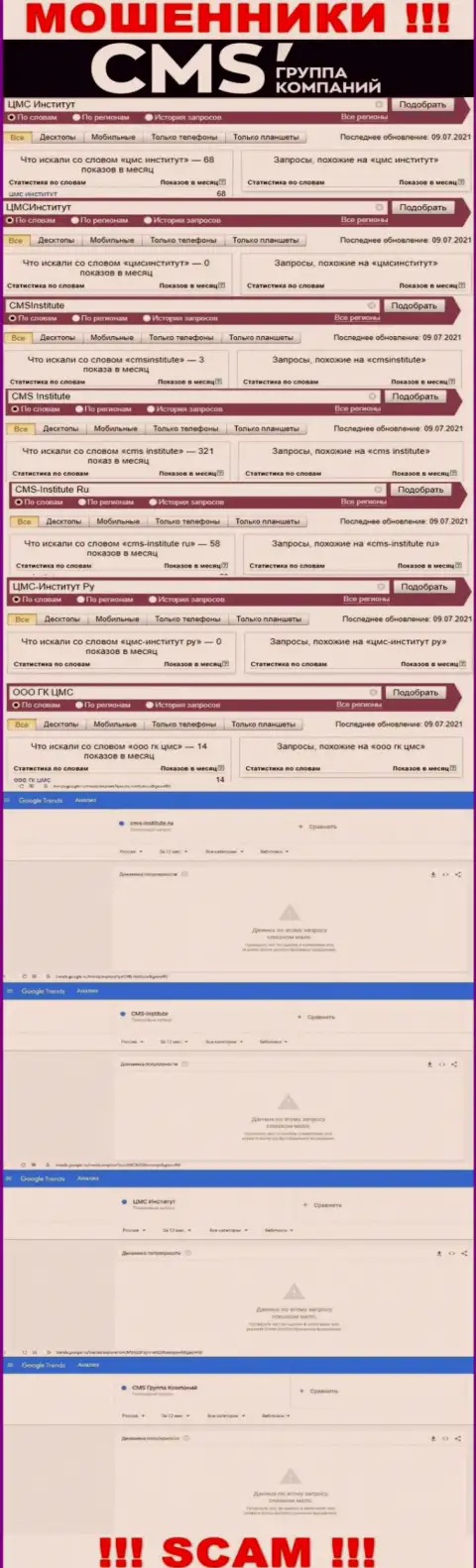 Аналитика запросов по мошенникам ЦМСИнститут в сети internet