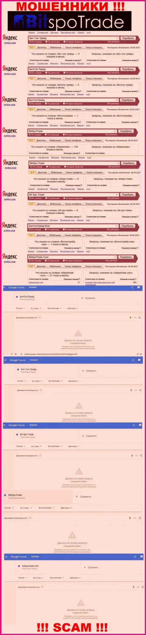 Статистические сведения онлайн запросов по бренду мошенников BitSpoTrade Com