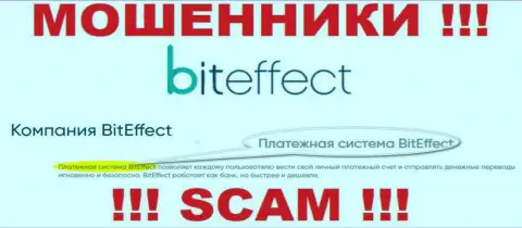 Осторожнее, род деятельности Бит Эффект, Платёжная система - это разводняк !