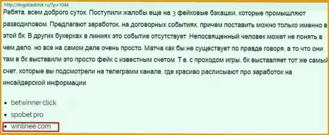 Win Linee - это бесспорно ЛОХОТРОНЩИКИ !!! Обзор компании