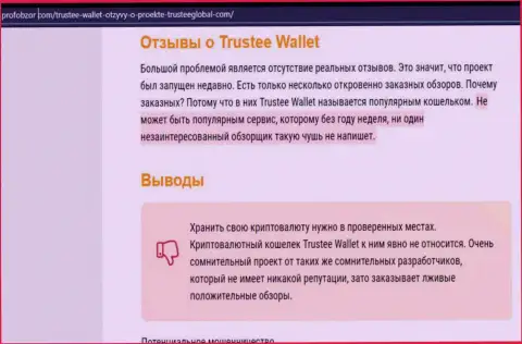 Trustee Wallet - это МОШЕННИКИ !!! Прикарманивают денежные активы наивных людей (обзор неправомерных деяний)