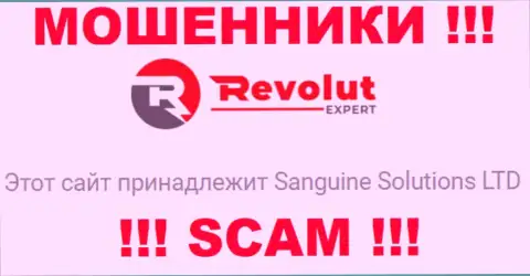 Сведения о юридическом лице internet мошенников RevolutExpert Ltd