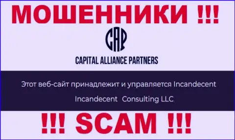 Юридическим лицом, управляющим интернет лохотронщиками CAPartners, является Consulting LLC