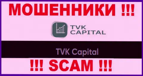 TVK Capital - это юридическое лицо интернет-мошенников TVKCapital Com