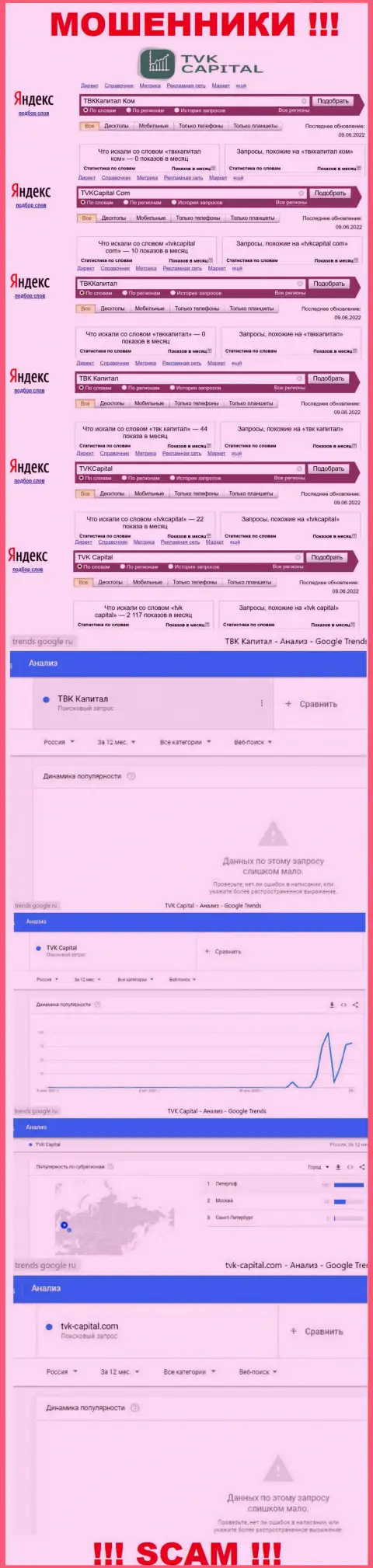 Статистические данные о запросах в поисковиках internet сети информации о организации TVKCapital