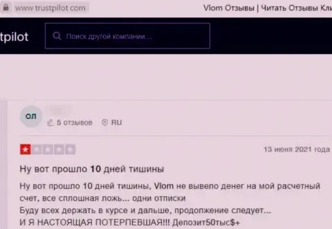 Работая с Влом Ком есть риск оказаться среди ограбленных, указанными internet-мошенниками, реальных клиентов (отзыв)