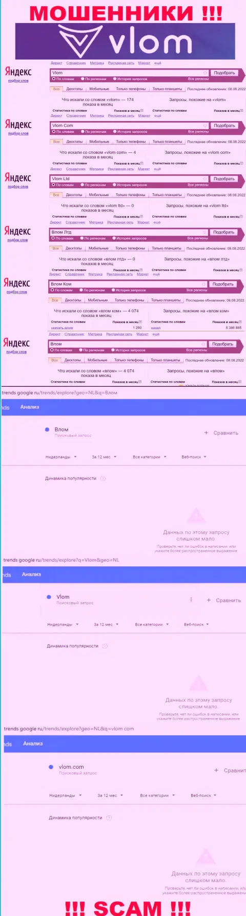 Детальный анализ суммарного числа запросов в поисковиках глобальной сети по мошенникам Vlom Ltd