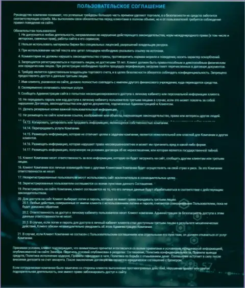 Пользовательское соглашение Зинейра, представленное на информационном ресурсе организации