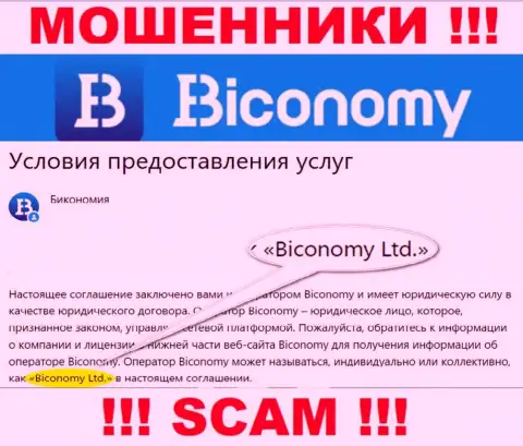 Юридическое лицо, которое владеет мошенниками Biconomy - это Biconomy Ltd