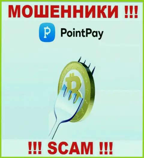 Прибыль с дилинговой организацией Point Pay Вы не получите - довольно рискованно вводить дополнительные денежные средства