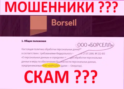 ООО БОРСЕЛЛ - это организация, управляющая ворюгами Borsell