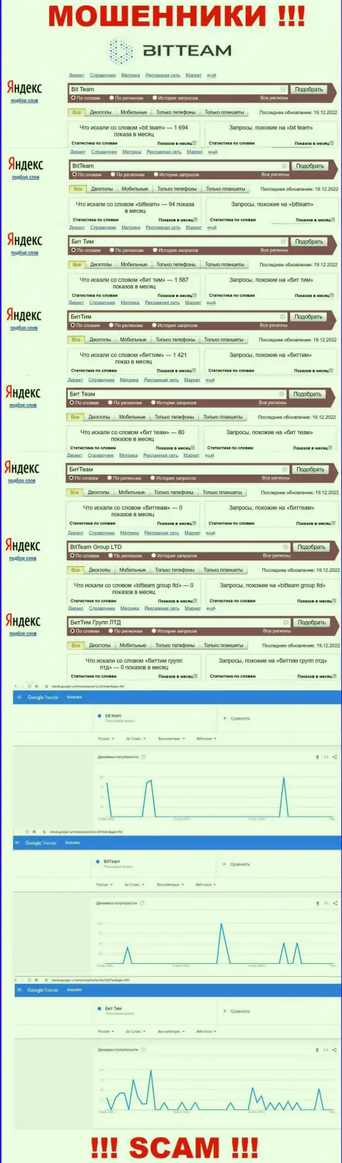 Количество поисковых запросов во всемирной internet сети по бренду жуликов Бит Тим