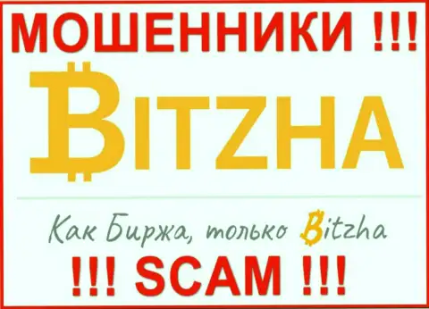 Bitzha24 - это МОШЕННИКИ ! Вложенные деньги не выводят !!!