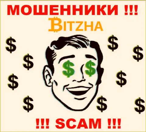 Организация Bitzha24 - это АФЕРИСТЫ !!! Работают незаконно, поскольку не имеют регулирующего органа