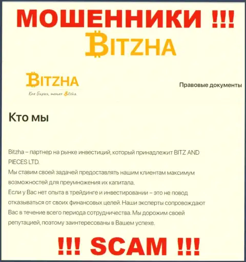 Bitzha - это циничные internet-аферисты, сфера деятельности которых - Инвестиции