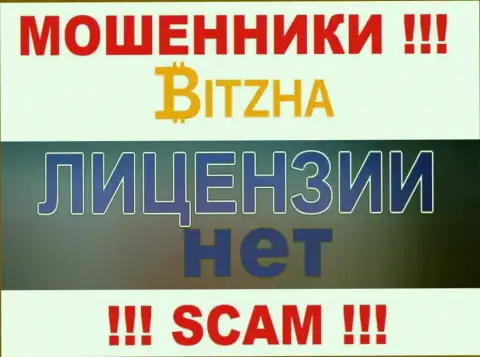 Мошенникам Bitzha не выдали лицензию на осуществление деятельности - отжимают финансовые средства